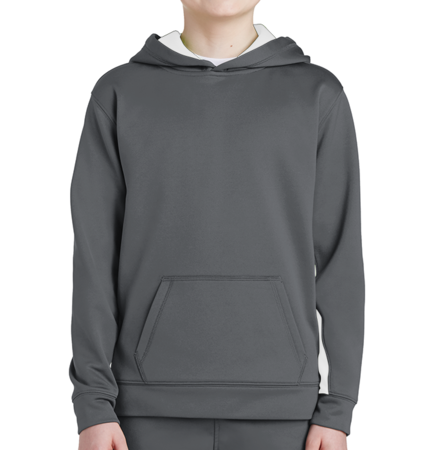 Youth Hooded Sweatshirts by Sport-Tek style # YST235DSG