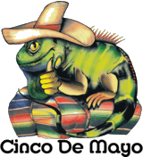 Multi-color /userImages/logos/swap/flash/326286_x175.png