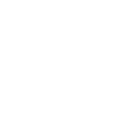 White /userImages/logos/swap/flash/331295_x175.png