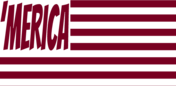 Burgundy /userImages/logos/swap/flash/491756_x175.png