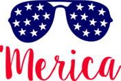 Navy Red /userImages/logos/swap/flash/491757_x175.png